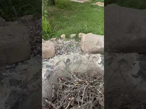 VENTA Los chañares 930 , villa los aromos RAICES INMOBILIARIA