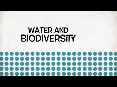 Food Waste in Australia - BCM207