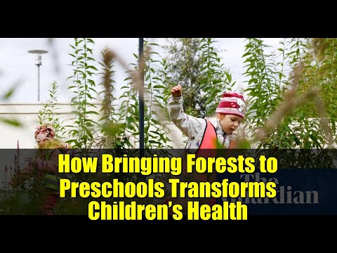 How Bringing Forests to Preschools Transforms Children’s Health | Radical Experiment Revealed