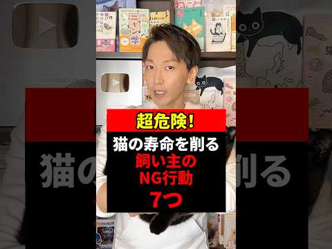 猫が予測できる7つのこと