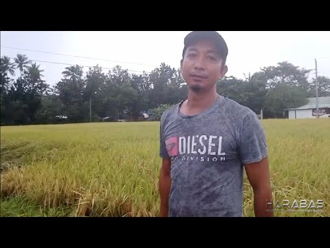 EP791-P2 - Update sa Pananalasa ng Bagyong Paeng | Occ. Mindoro