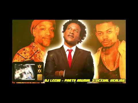 Dj Leeyo - Sexual Healing x Party Animal ( full video link in comment section)