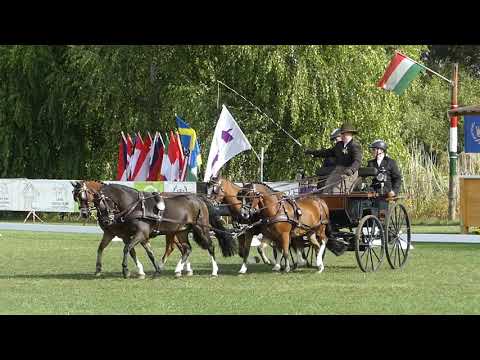 HAMMINK Marijke, NED, FEI  WCH P 1,2,4, Dressage Po4, 27 09 2019