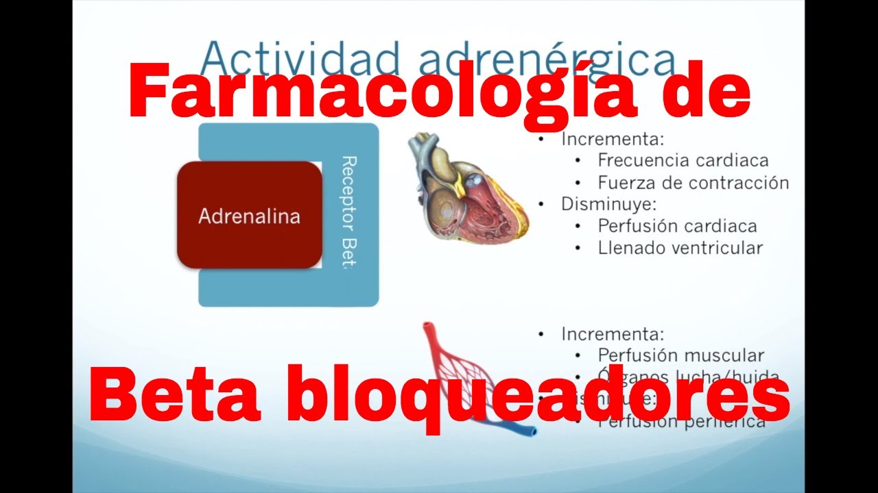 Farmacología del metoprolol y otros beta bloqueadores