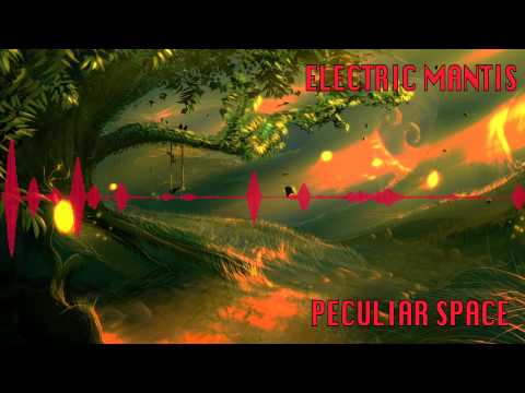 Electric Mantis - Peculiar Space