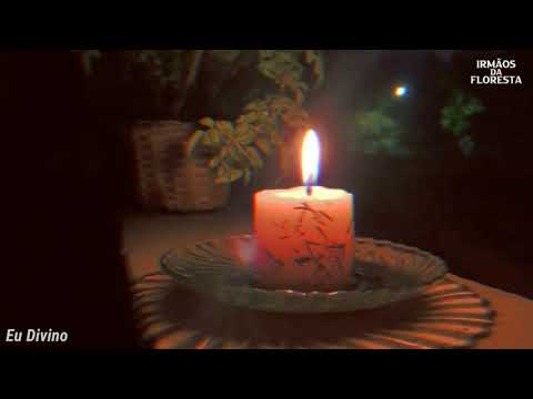 Eu Divino - Irmãos da Floresta