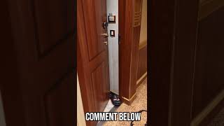 Would you do this? Leave your stateroom cabin door open all cruise? #cruise #safety #stateroom