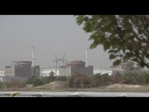 Rising fears of a radiation leak at Europe's largest nuclear power plant in Zaporizhzhia