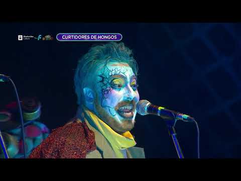 6ta Etapa 2019 - Curtidores de Hongos - Liguilla