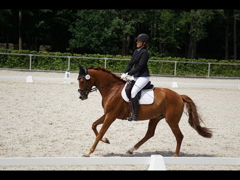 Reitpferdeprüfung RP2 22.06.22 Moritzburg Jungpferdeturnier