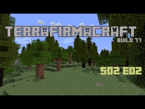 Mag0ca Terrafirmacraft B77 Server S02E02 - Day2