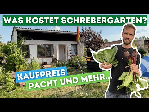Unser Kleingarten #5: Was kostet ein Kleingarten? Für dich das Richtige?