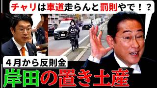 【参政党】チャリは車道を走れよ？クソ法改正に、新人議員の質疑がいいね！【岸田文雄の置き土産】　　　　　#青切符　#自転車　#道交法改正