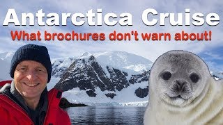 Antarctica Cruise Watch-Outs. 8 Things Brochures Don