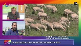 ΣΕ ΑΠΟΓΝΩΣΗ ΛΟΓΩ ΕΥΛΟΓΙΑΣ ΟΙ ΚΤΗΝΟΤΡΟΦΟΙ_ΓΙΩΡΓΟΣ ΤΕΡΖΑΚΗΣ_15 09 2025
