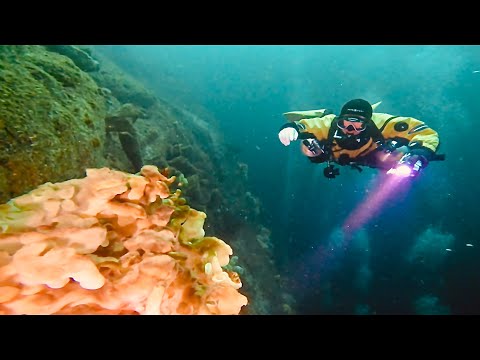 Scuba Diving Sunshine Coast, British Columbia, Canada