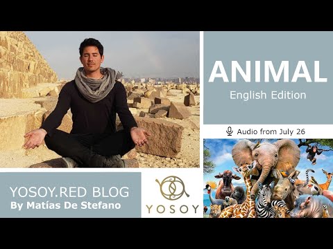 Day 357 - ANIMAL - Matías De Stefano - YOSOY.RED BLOG: Root - Physical - Cancer, Read by Carey 07/26