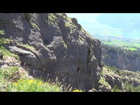 The Goldau landslide