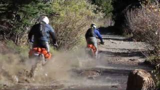 Wolfman Rolie Bags - 100% Waterproof