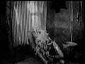 Sheena Forbidden Land 2