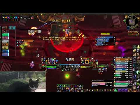 Dreamstate Throne of Thunder Dark Animus 10M Heroic