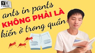 5 Thành ngữ Tiếng Anh thường dùng Chủ đề Động Vật - Phần 2