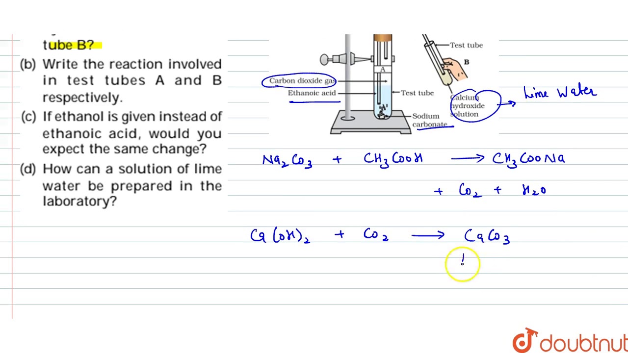 Look at the figure and answer the following questions. (a) What change would you observe