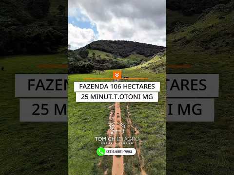 EXCELENTE OPORTUNIDADE 22 ALQUEIRES TEÓFILO OTONI-MG R$ 1.9 MILHÕES #luxo #fazenda #pecuarista #gado