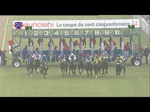 RM6 R1 - Bridegroom Bertie(I.Chisty)