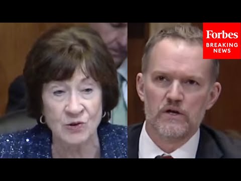 Video | Collins Asks Trump Trade Rep About Revisiting 'Hardships' Caused By Tariffs On Steel, Canadian Goods