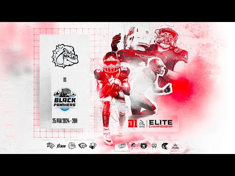 D1 Élite 2024 - W10 : MOLOSSES - BLACK PANTHERS