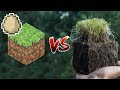 Minecraft Vs Real Life Eggs