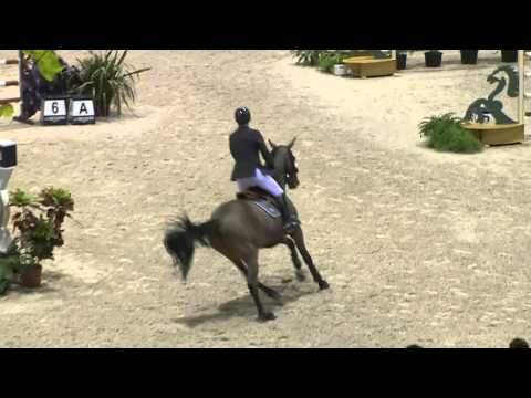 Lacrimoso 3*HDC - CSI 5*-W Bordeaux - GP Coupe du Monde 160 - Février 2016