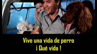 ELVIS PRESLEY - A dog´s life ( con subtitulos en español )  BEST SOUND