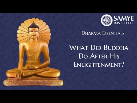 Essentials 1.5 What Did Buddha Do After His Enlightenment?