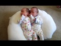 Abigail Trying To Eat Jocelyn S Ear