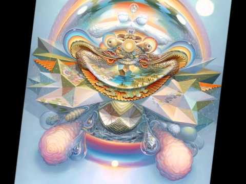 no jardim de flores brancas