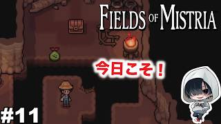 #11【銅のツルハシで挑むぞ！】あーくんの「Fields of Mistria」のんびりみてね。#ミストリア #ゲーム実況