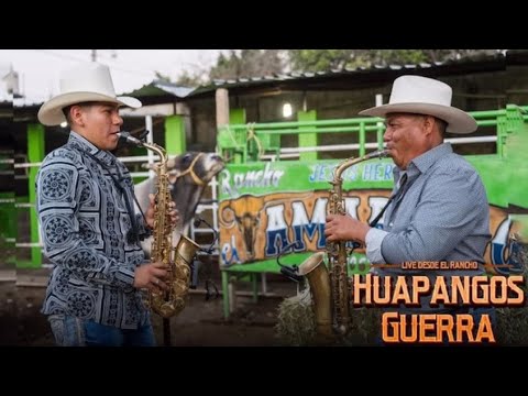 La Guerra Norteña - Huapangos Guerra - Live (Video Oficial)