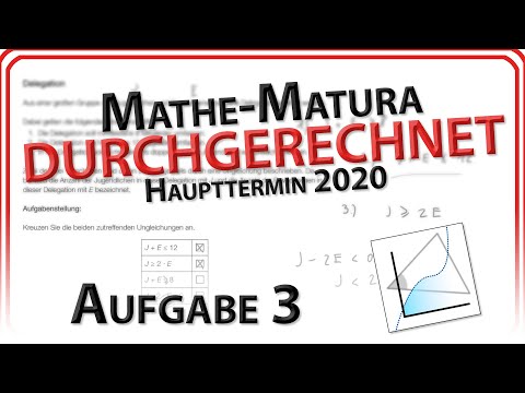 Matura 2020: Aufgabe 3 -  Delegation / Ungleichheiten (Haupttermin) | Mathe Easy Going