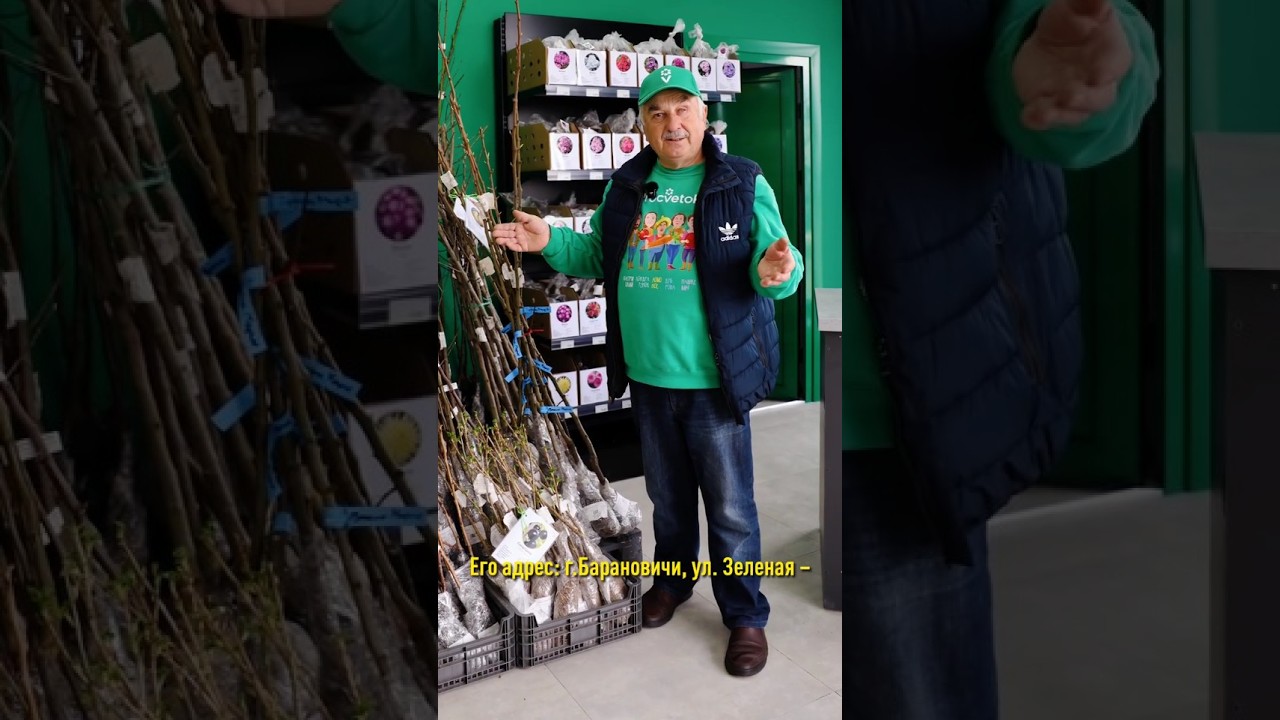 ✨ Друзья! 18 апреля приглашаем на торжественное открытие магазина в Барановичах!