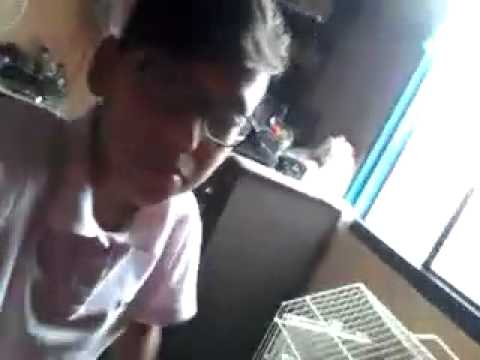 Mc bley-tu é legal de mais(Clipe Oficial)...2016