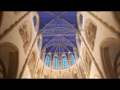 Lied 545: Christus staat in majesteit