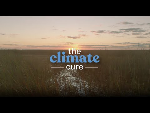 The Climate Cure - Trailer