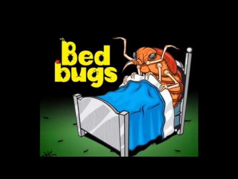 Toad-Freeze tag (feat. jagwa)-bed bugs