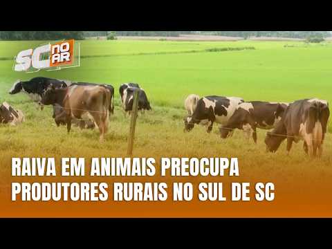 Raiva em animais avança em SC e alerta produtores rurais do Sul