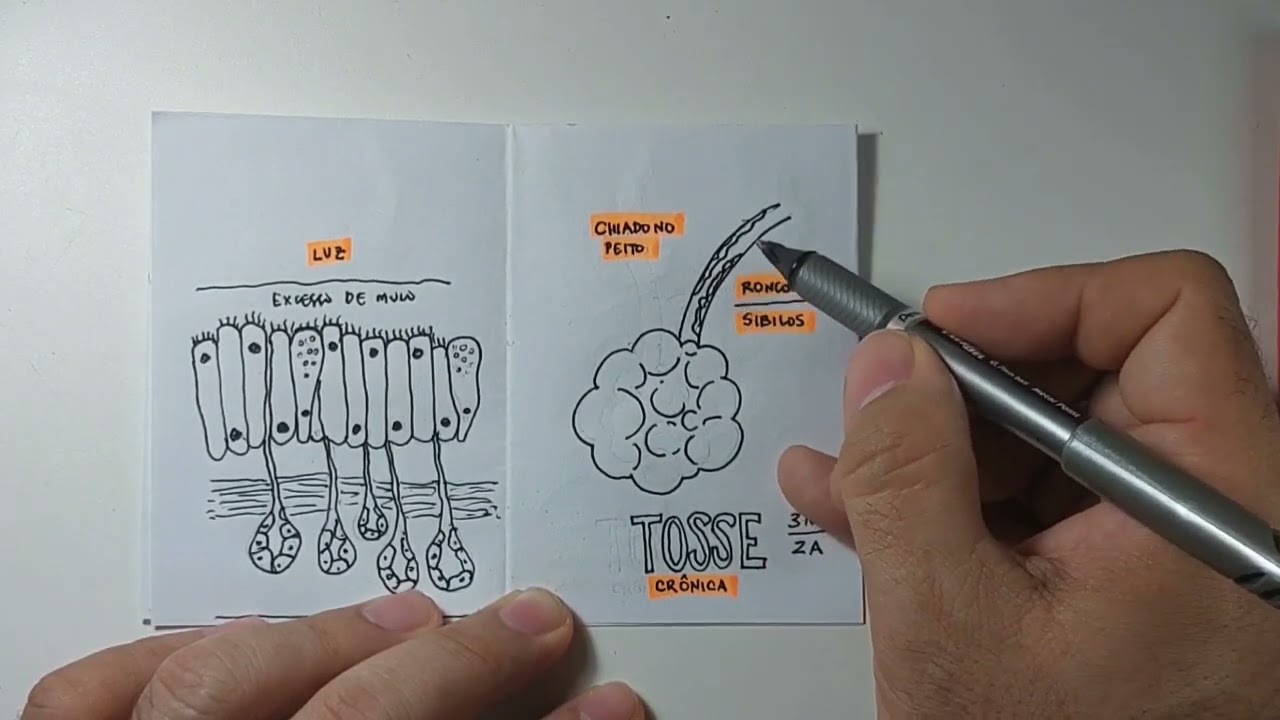 Fisiopatologia da Bronquite Crônica