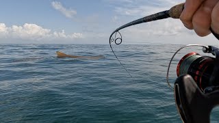 LOST FISHING FILES OF 2023 - Saltwater Fishing