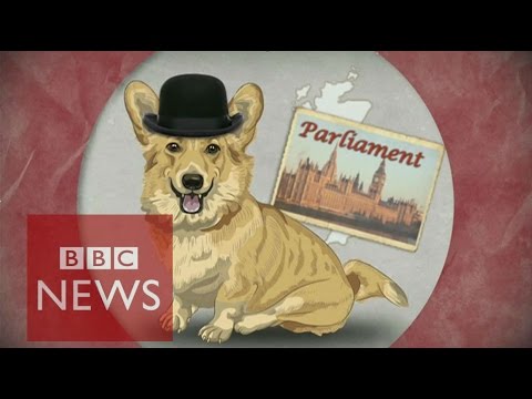 UK election: A guide for non-Brits - BBC News