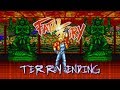 Fatal Fury Terry Ending SNES